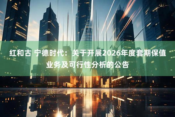 红和古 宁德时代：关于开展2026年度套期保值业务及可行性分析的公告
