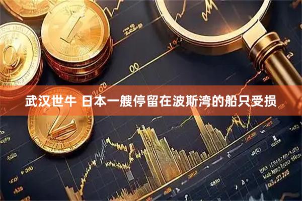 武汉世牛 日本一艘停留在波斯湾的船只受损